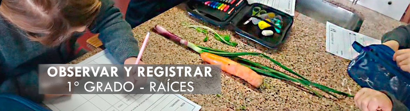 1er Grado  - LABORATORIO DE CIENCIAS - Colegio San Javier