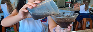 FILTRAR Y DESCUBRIR 1er Grado en el Labo - Colegio San Javier