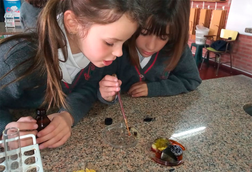 1er Grado en el laboratorio de Ciencias - Colegio San Javier