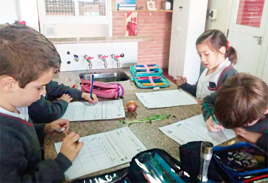 1er Grado en el Laboratorio de Ciencias   - Colegio San Javier