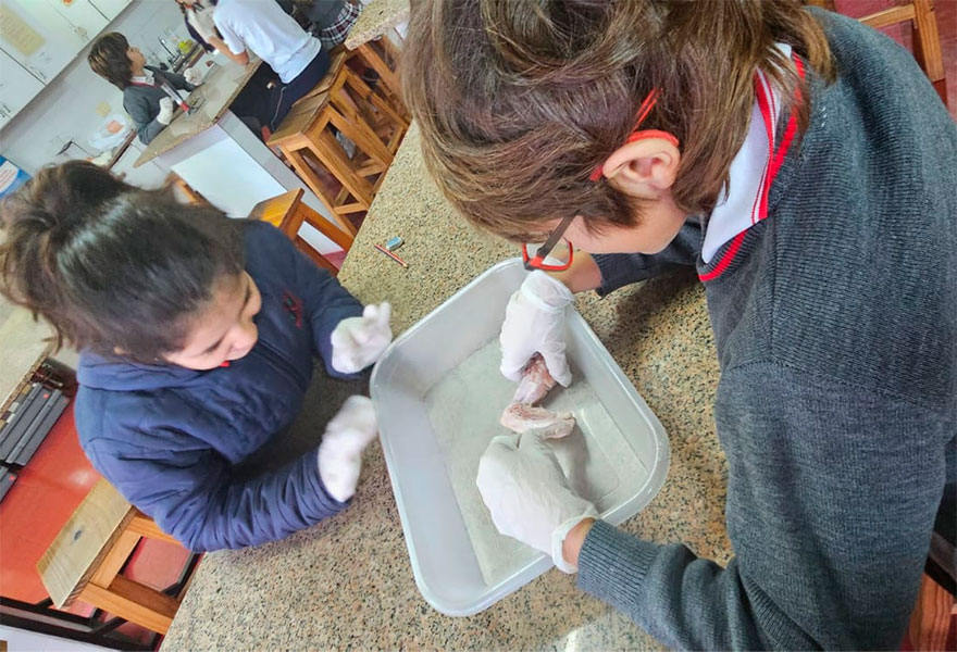 Junior 4 en el laboratorio de Ciencias - Colegio San Javier