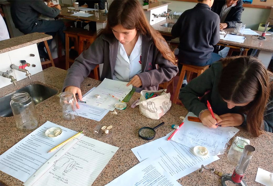 Senior 1  - Germinación - Colegio San Javier