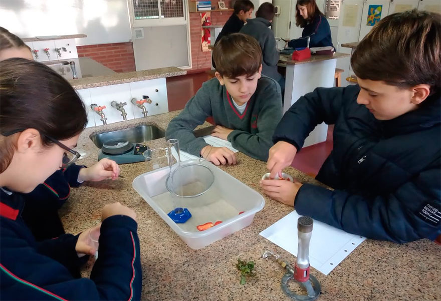 Extracción de ADN en Senior 2- Colegio San Javier