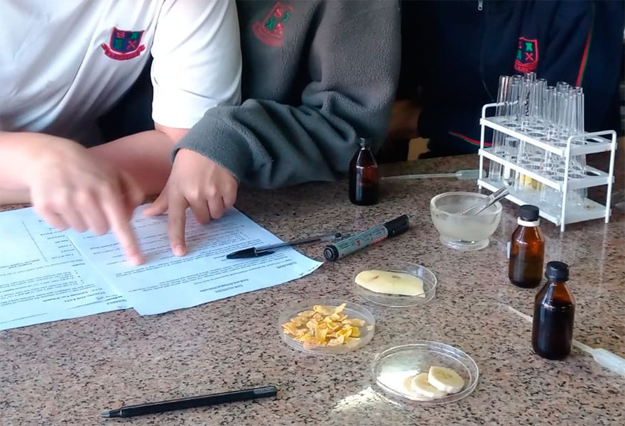 Experiencia de Laboratorio en Senior 2- Colegio San Javier